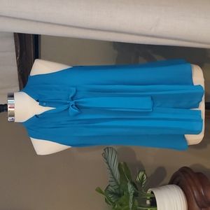 Worthington Cobalt Blue Blouse